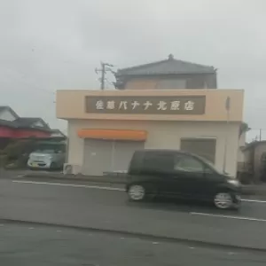 館山出張２バナナ専門店見つけた。のサムネイル