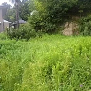 東金市で空き地の草刈りのサムネイル