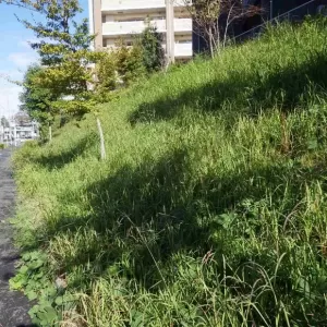 成田で斜面の草刈りのサムネイル